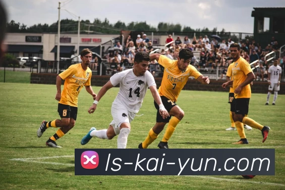 开云平台生态图